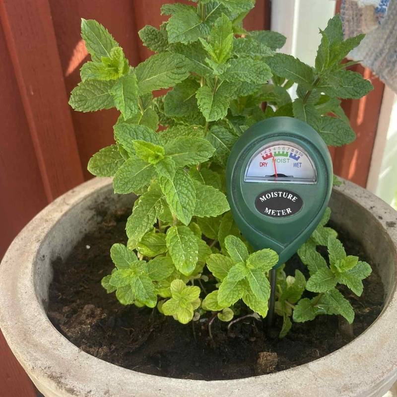 Fuktmätare – batterifri och lätt att använda