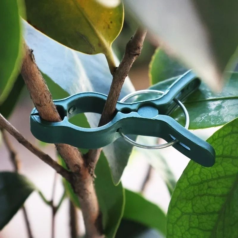 Växtlås – smidig fixering för stjälkar och rankor