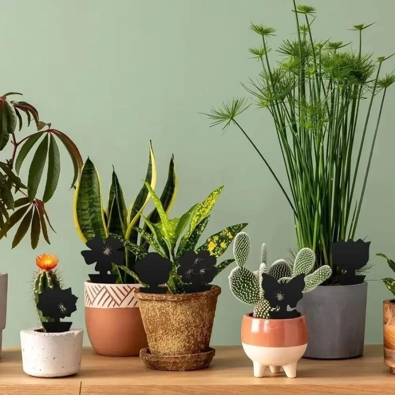 Insektsfälla - effektivt skydd för växter 70-pack