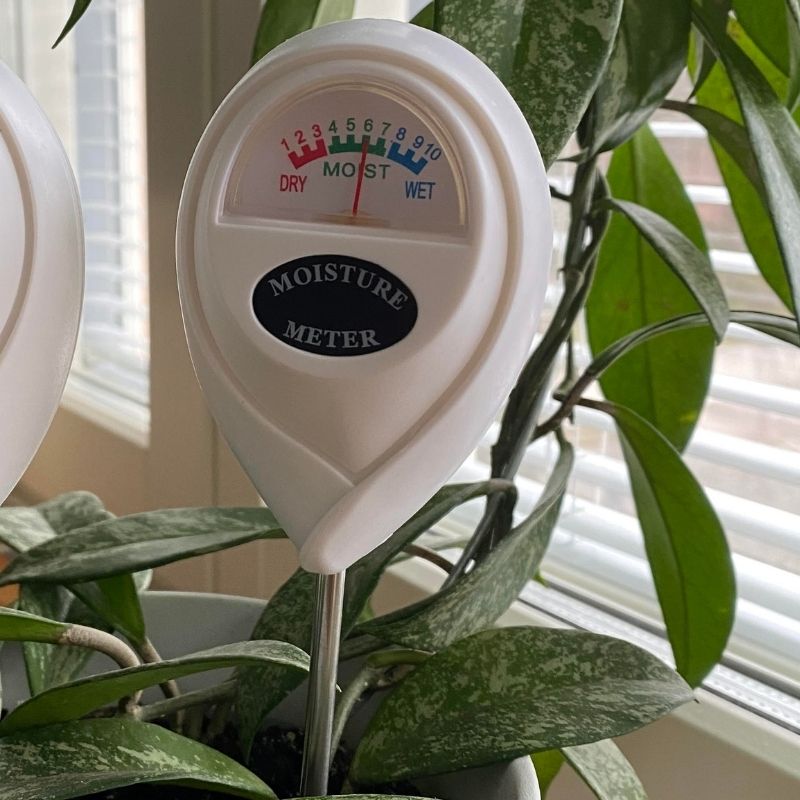Fuktmätare – batterifri och lätt att använda