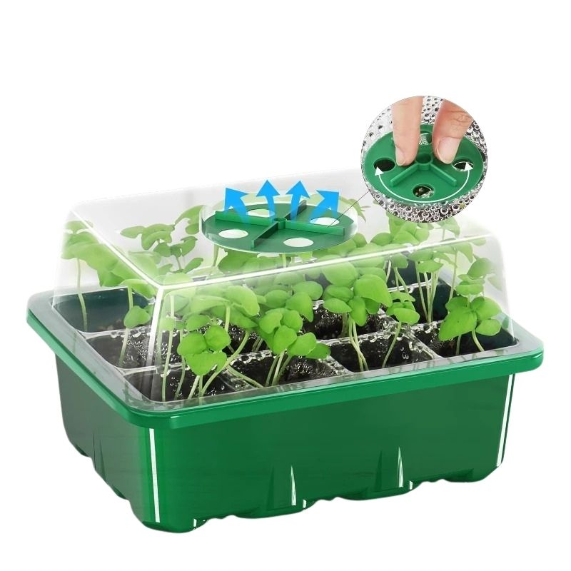 Minidrivhus – kompakt bricka för frösådd 10-pack