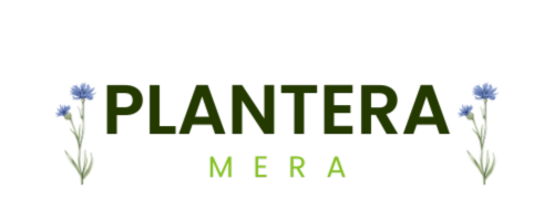 PlanteraMera