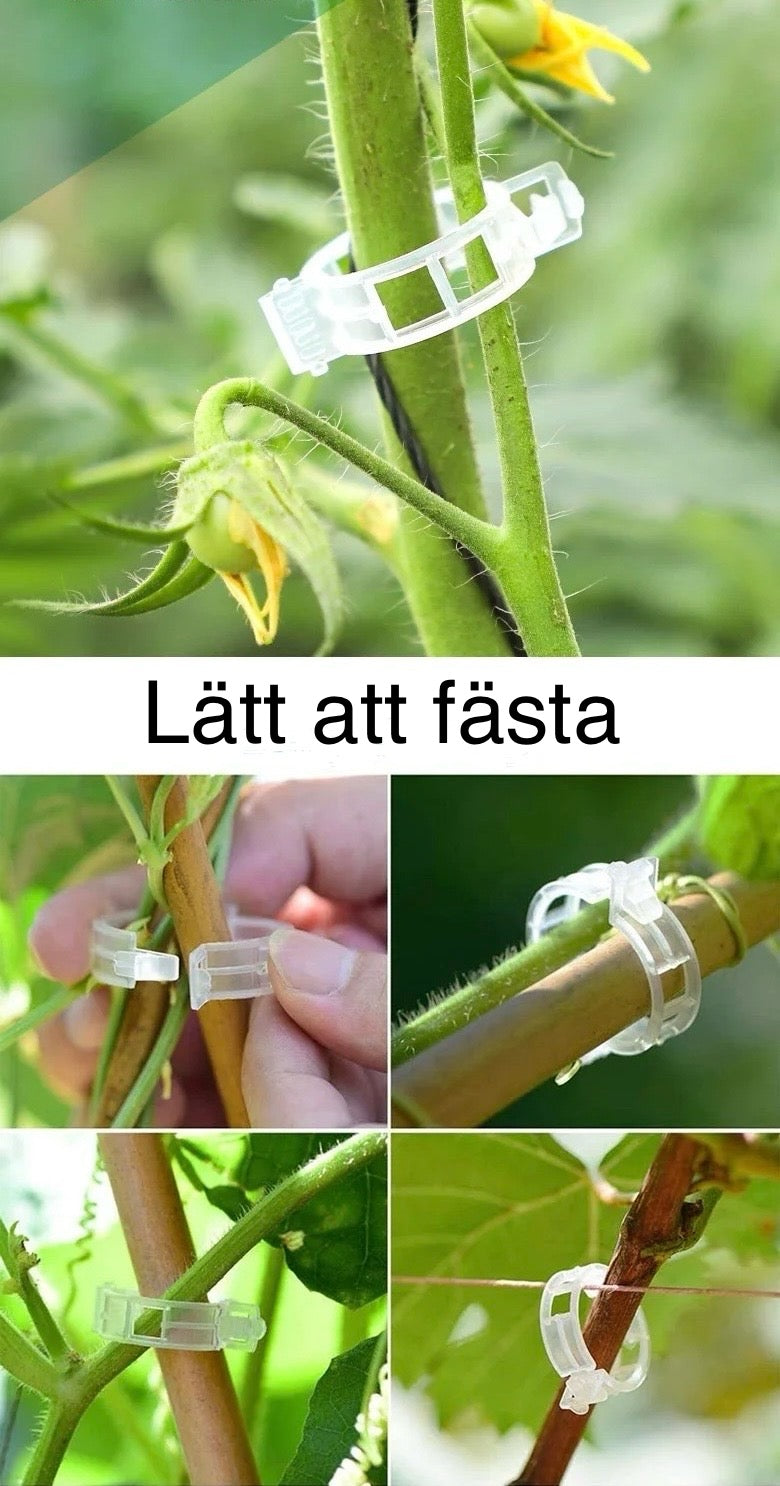Återanvändbara växtklämmor i plast 50-pack