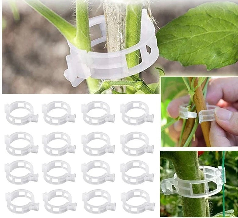 Återanvändbara växtklämmor i plast 50-pack