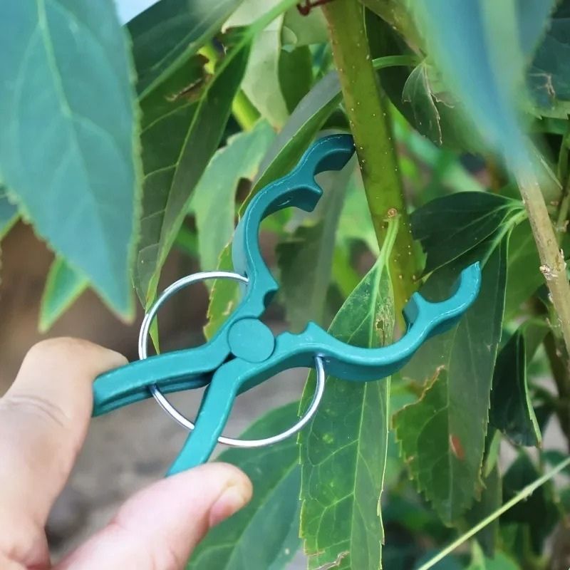 Växtlås – smidig fixering för stjälkar och rankor