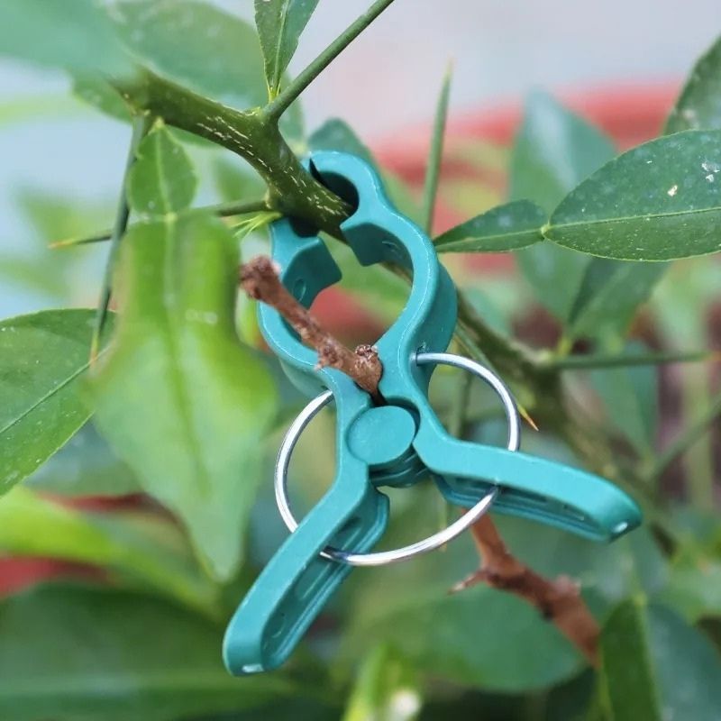 Växtlås – smidig fixering för stjälkar och rankor